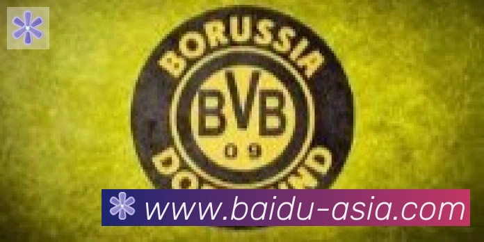 百度体育合作伙伴